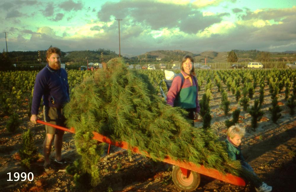Tree Shopping In The 90's